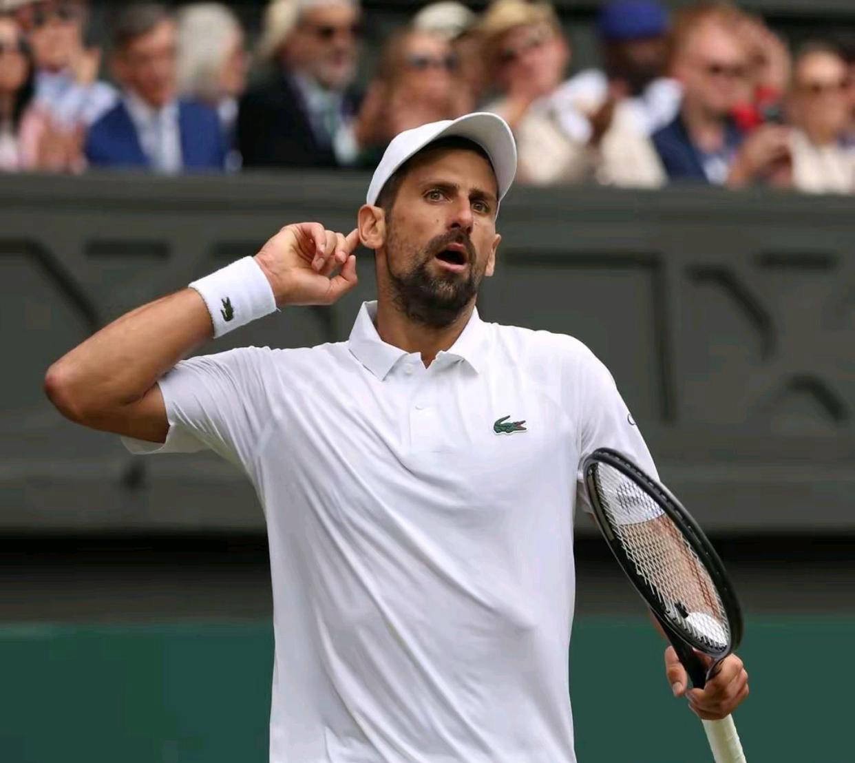 拉沃尔杯翻盘澳网，德约科维奇状态火热