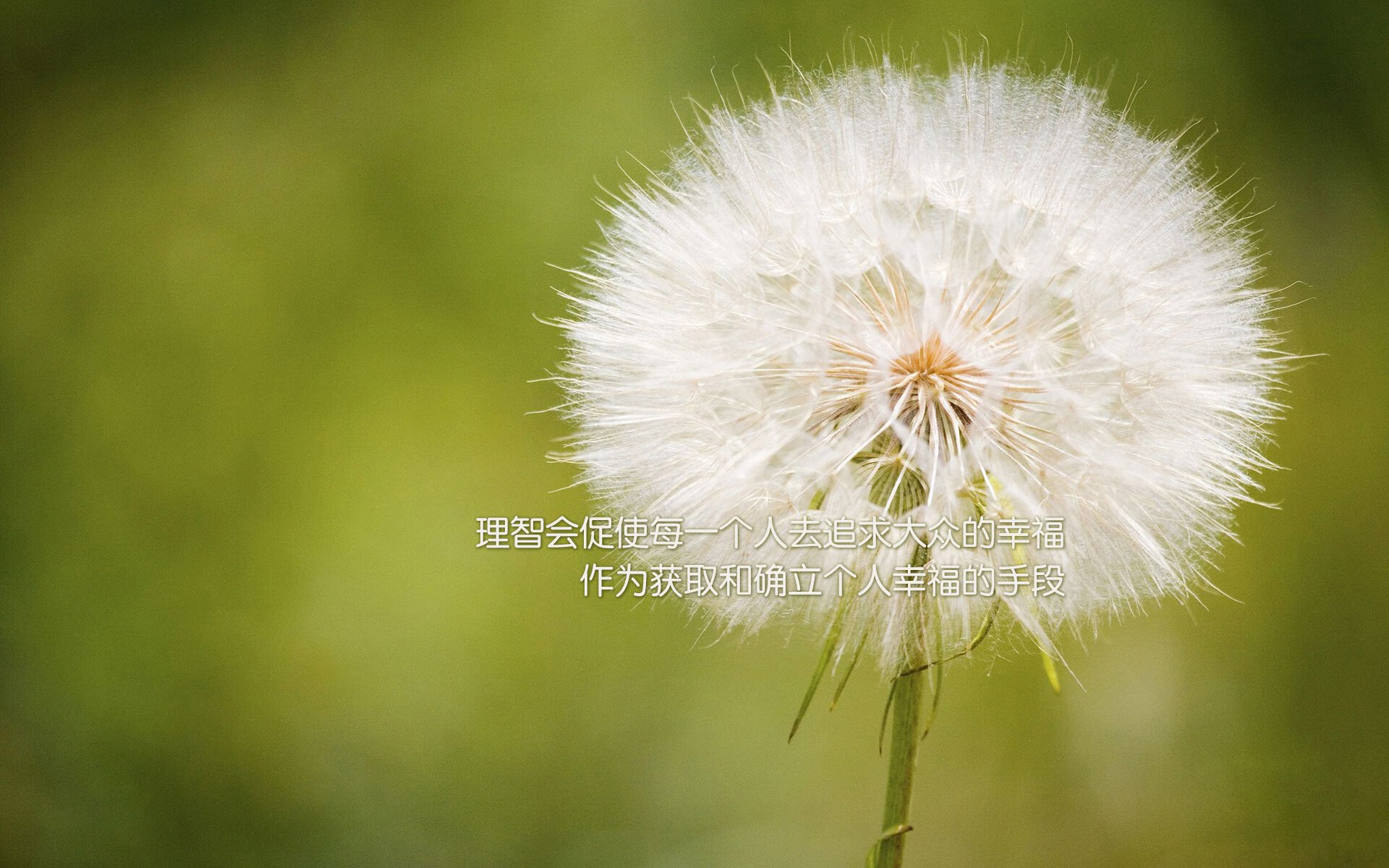 奥林匹斯山的回响，当福登以潘神之姿，在沙漠中复活希腊神话