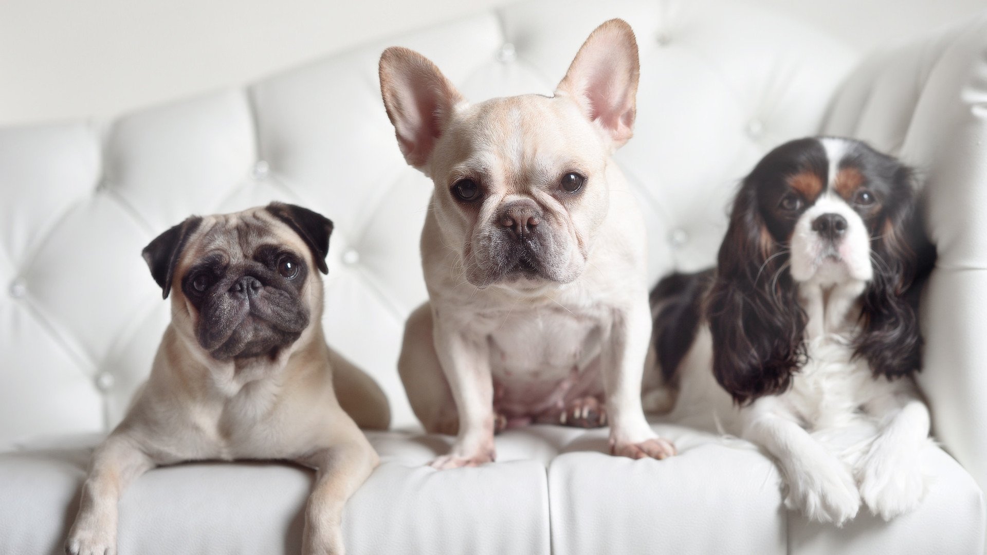 错位时空的绿茵对话，当哥伦比亚的狂想曲遇上德意志的钢铁意志