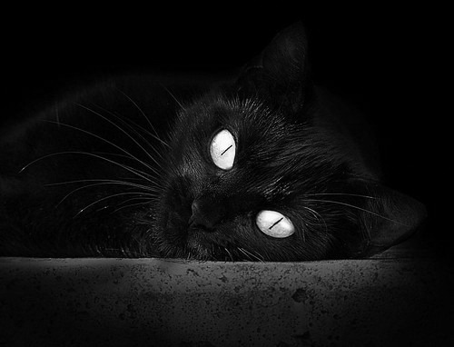 中场之肺如何让心跳复苏,德布劳内与乌克兰的奇迹逆转