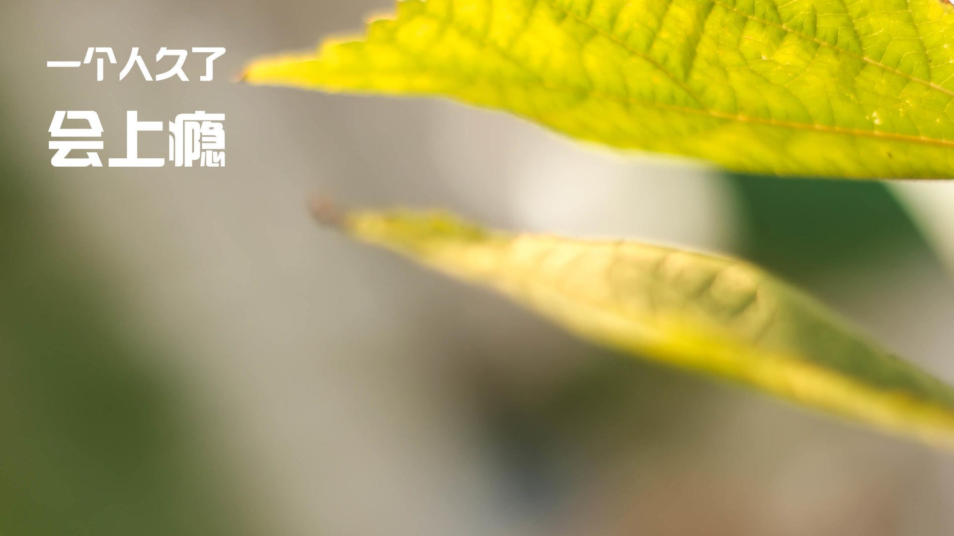 跨界奇迹，山西队客场粉碎雄鹿，克莱·汤普森F1揭幕战上演速度与激情接管比赛