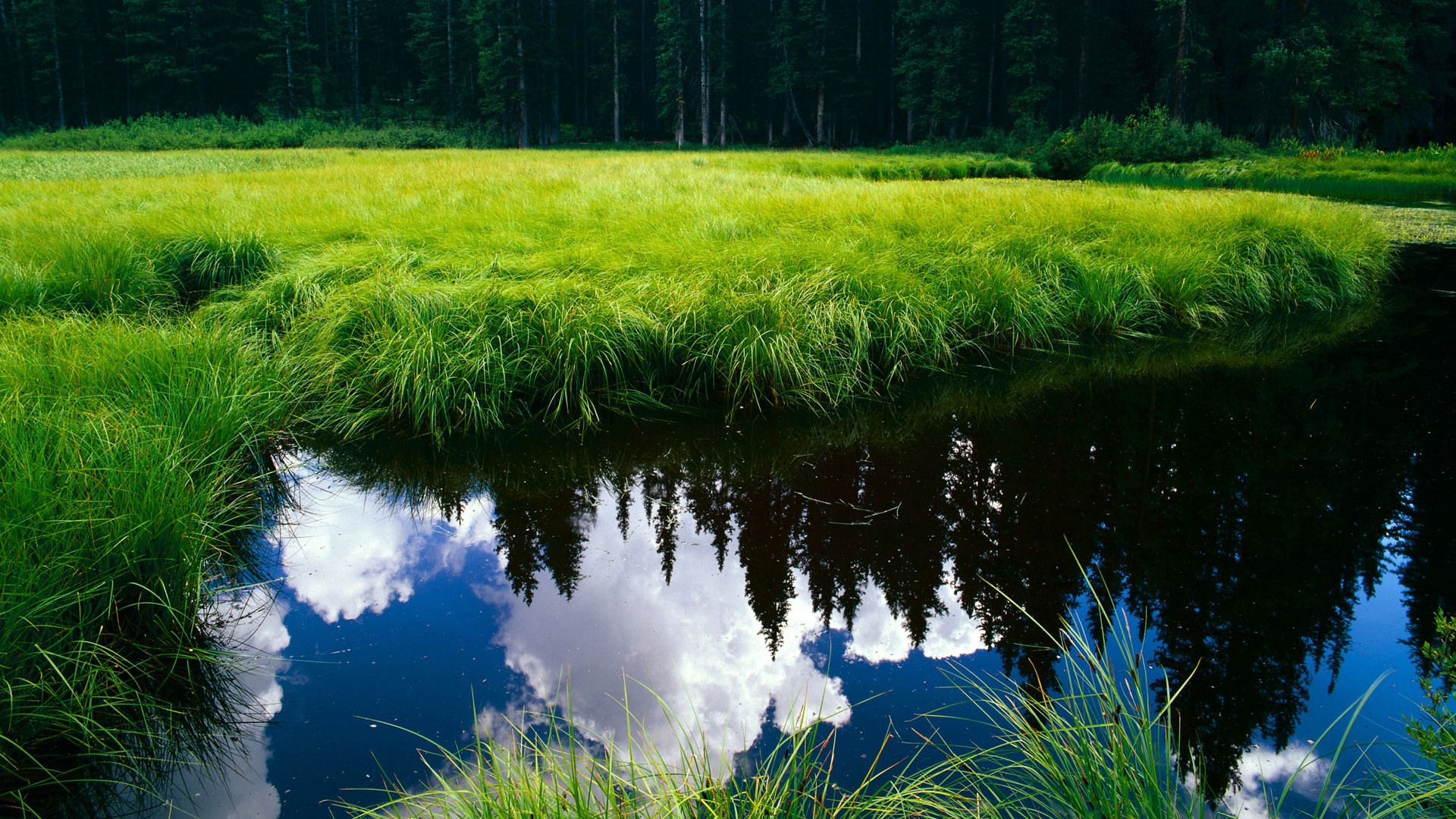 跨界的风暴，当雷霆摧枯拉朽，恩比德在绿茵场接管比赛