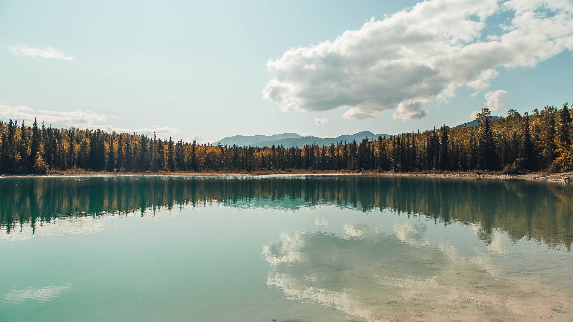 压力熔炉铸就英雄，莫兰特爆发助火箭征服山西