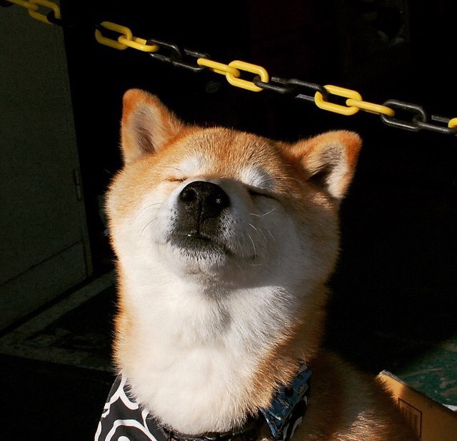 金字塔与安第斯的对话，奥运周期关键战中，尼日利亚如何完成对智利的全面压制