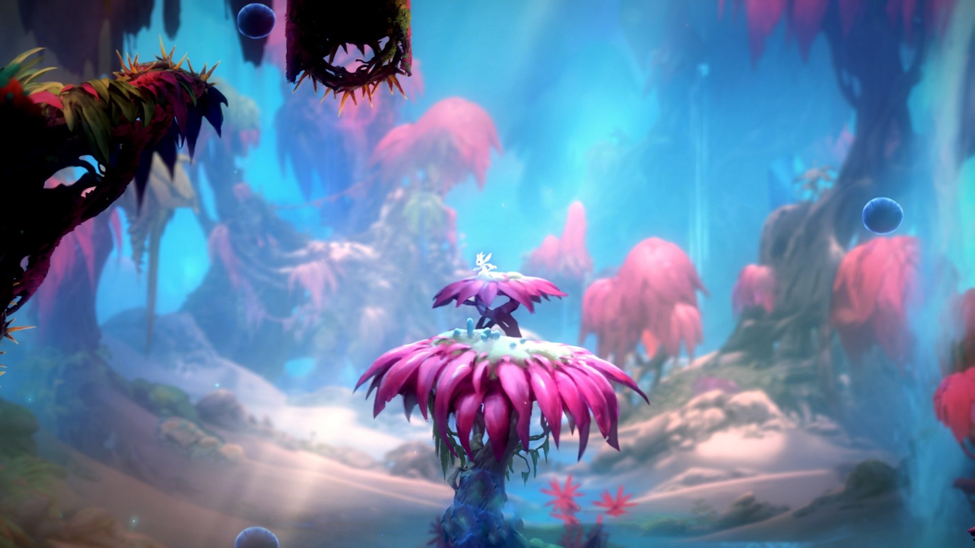 墨西哥墙，佩雷斯的战术封锁如何扼杀克罗地亚新星的反扑