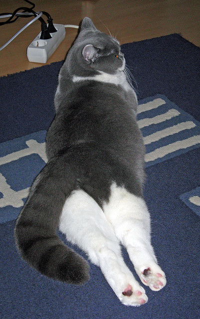 绿茵与硬木的交错，当黄喜灿的名字响彻NBA总决赛之夜