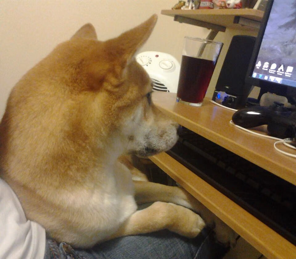 一战的王朝奠基人，总决赛夜，杰伦·格林交出史诗级数据单