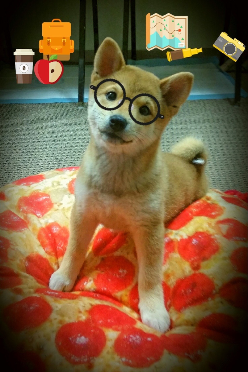 唯一性的荣耀，AC米兰瑞典翻盘与布鲁诺决赛主宰