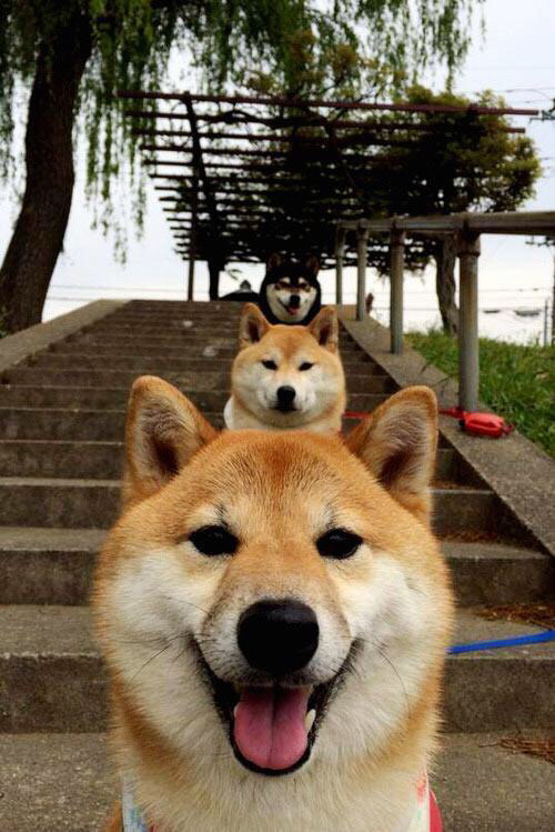 欧冠巅峰战，奥纳纳神扑定乾坤，利物浦险胜雷恩