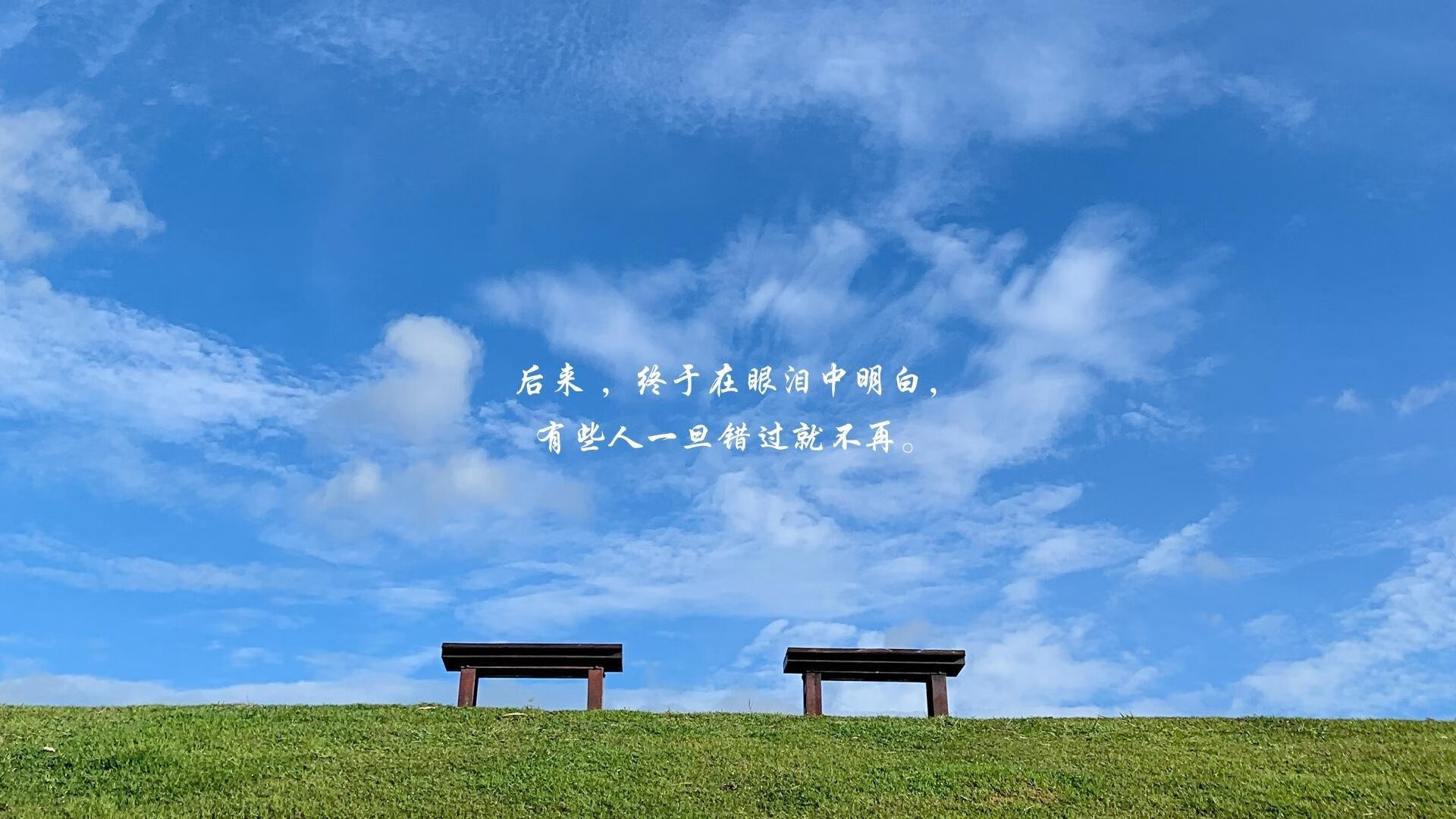 冰与火之歌,格列兹曼的致命直塞与门神封神夜—2026世界杯G组,奥地利如何用唯一的答案击碎北欧神话