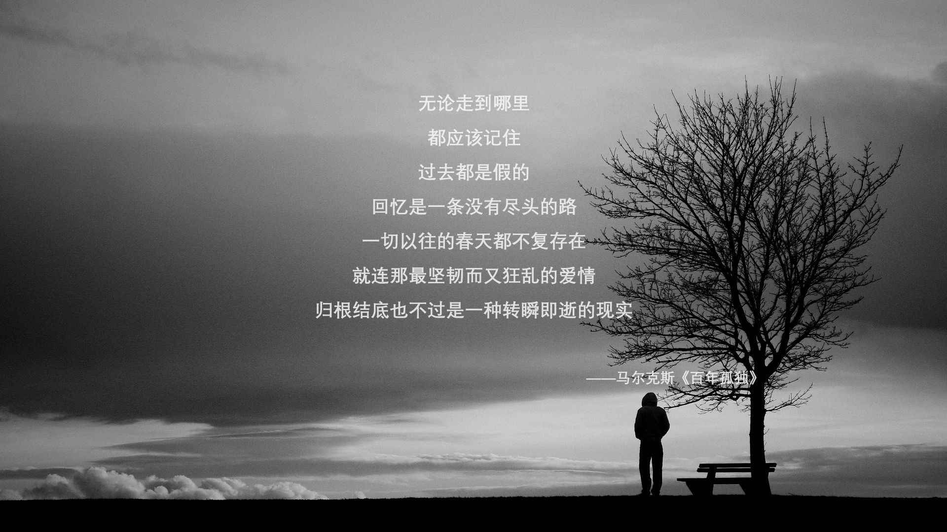 太极虎的闪电三连击,当防守反击成为艺术,韩国如何用最功利的方式撕碎澳大利亚的漂亮足球