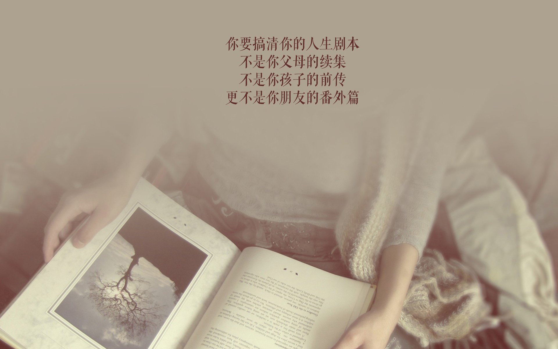 钢铁丛林的萨满，当瑞典的秩序，击碎了乌拉圭的狂想—2026世界杯A组焦点战，一场关于唯一性的中场革命
