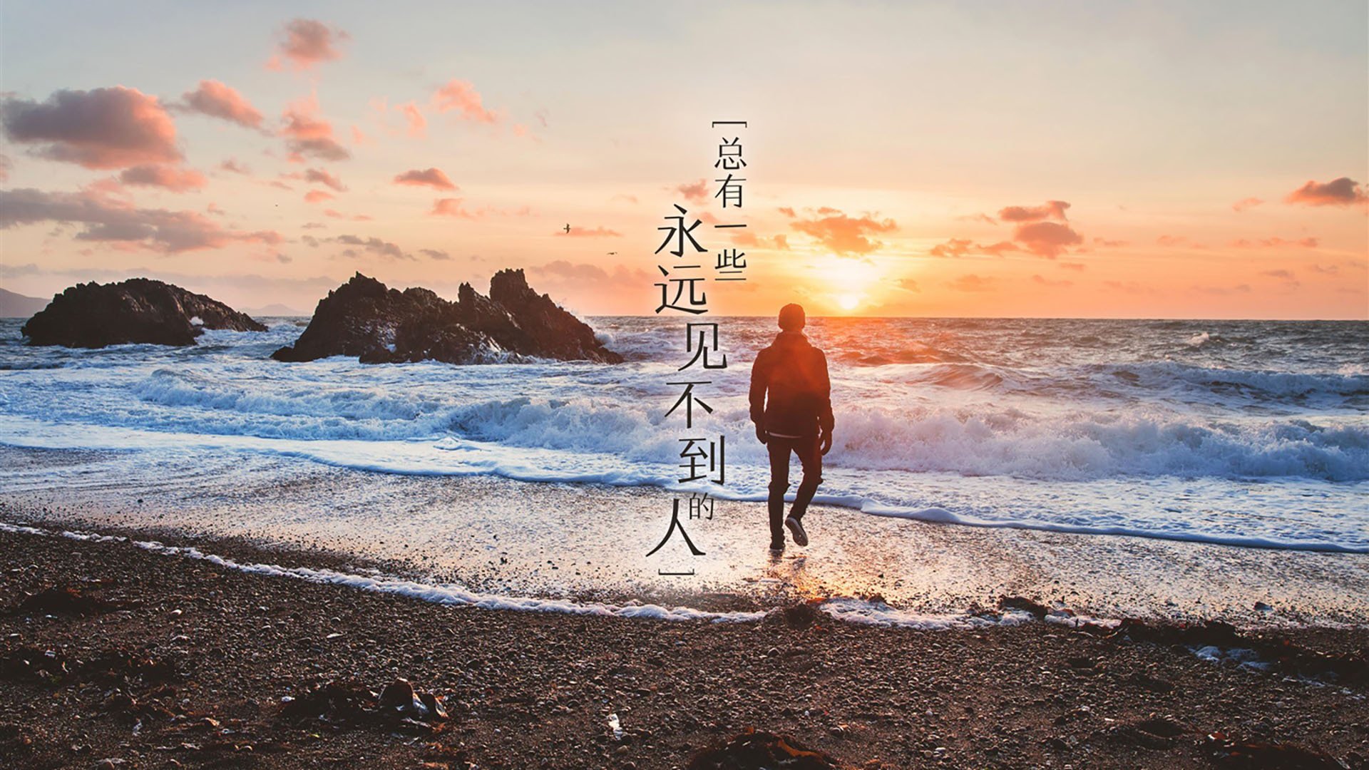 北非雄鹰的星空叙事曲—当萨卡在厄瓜多尔高原投下长矛