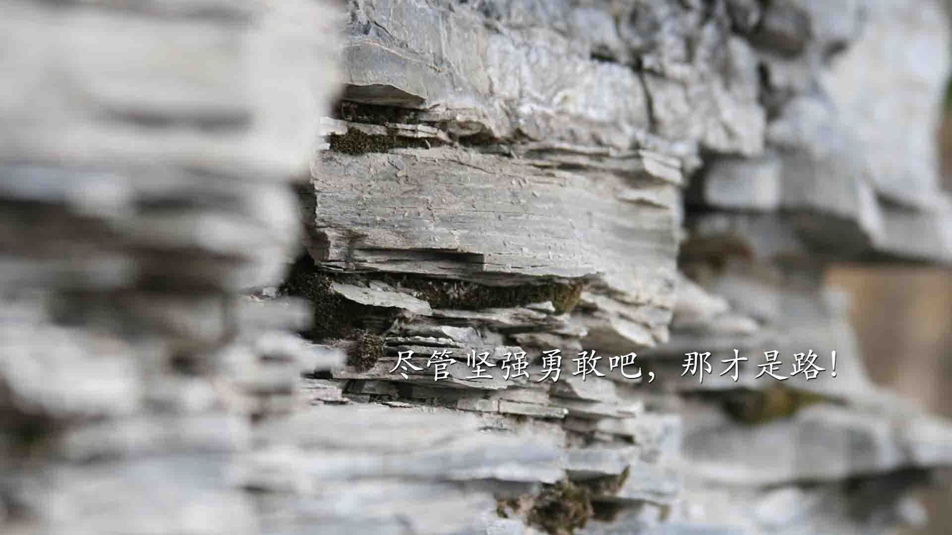 铁幕与利刃,红白格子与星条旗的命运交缠