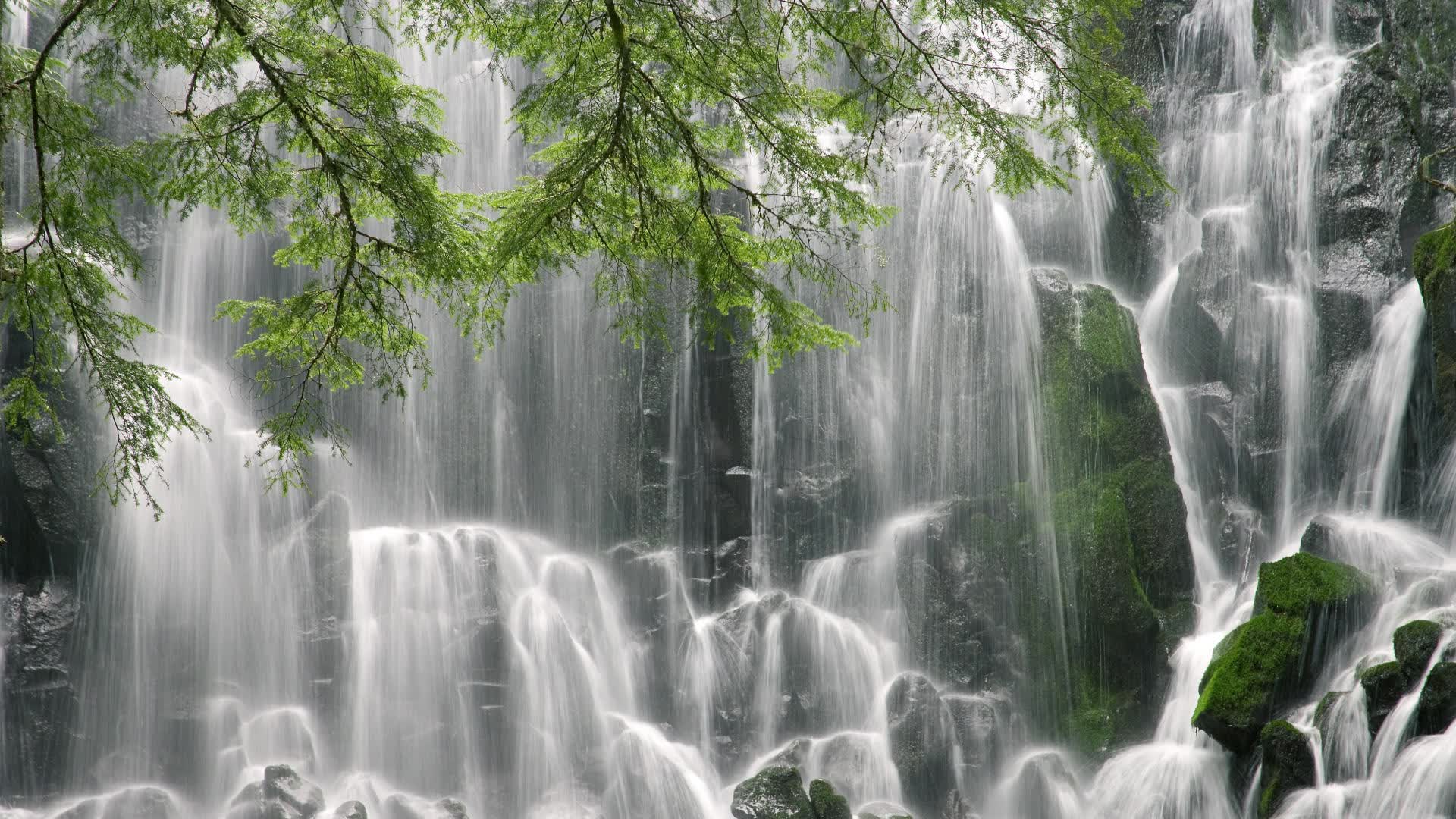 一个人的战争,格列兹曼封神之夜,保加利亚血腥玫瑰在越南防线绽放